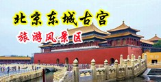 把美女骚逼操的淫水不断视频中国北京-东城古宫旅游风景区